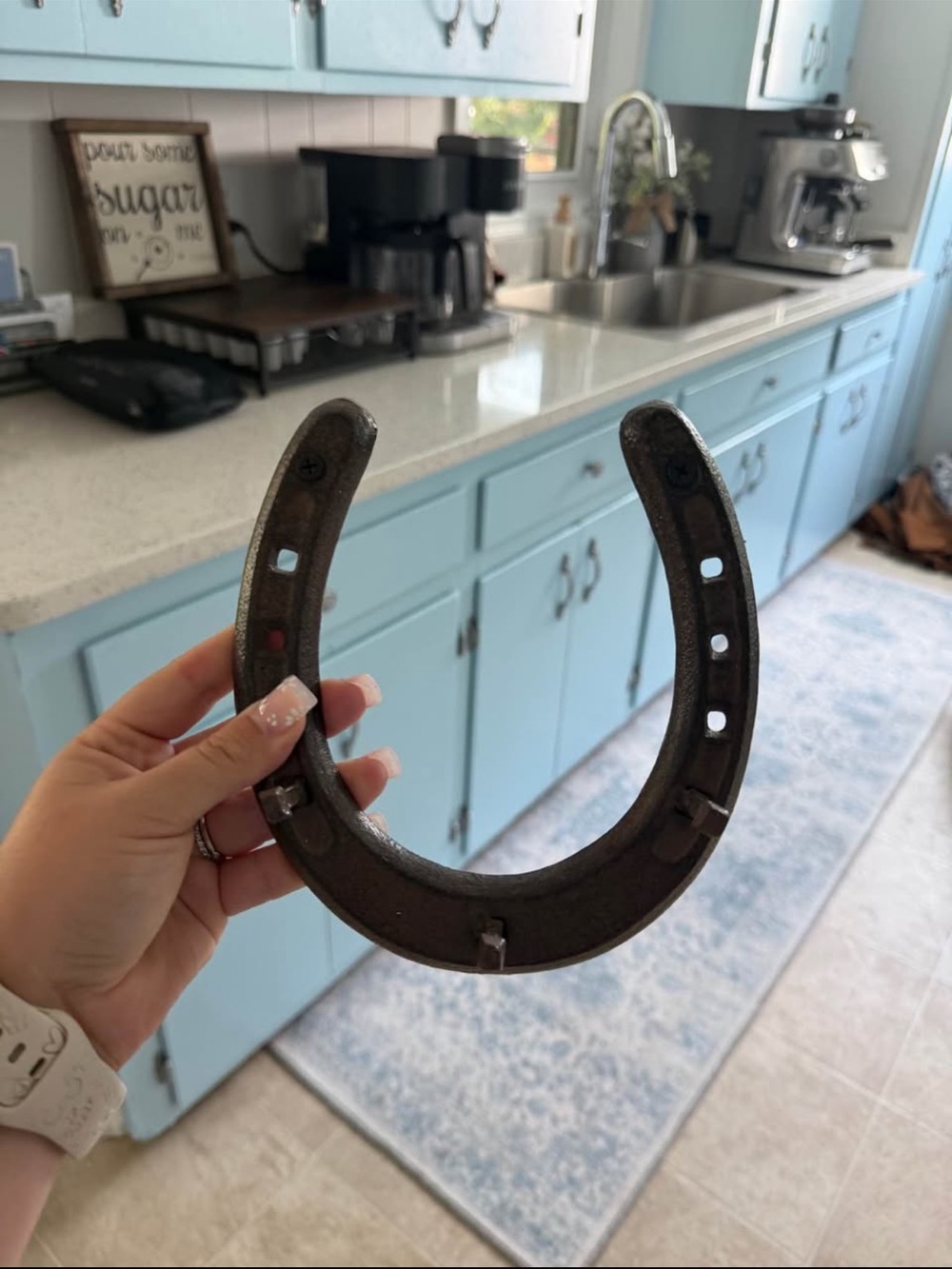 Vintage Iron Horseshoe key rack  - Rustic Black Decor